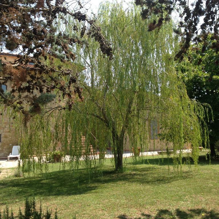 Teruzzi Country House San Gimignano Exterior foto